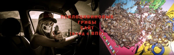 хмурый Волоколамск