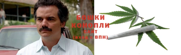 мдпв Верея